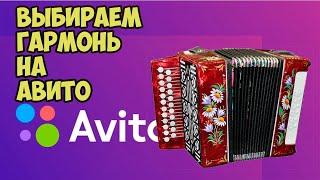 Как выбрать гармонь? Смотрим #гармонь на Авито.