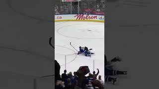 What a goal! @LeafsJellyHD