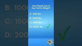 Quiz- Sea Turtles  #quiz #trivia #animaltrivia #animalquiz #quizzes #triviashort  #turtle #wildlife