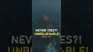 This Jellyfish Can Live Forever! - Animals Fact Beastly Facts - #animalfacts #youtubeshorts