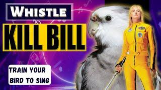 Whistle - KILL BILL - Training Video for Cockatiels and Birds