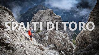 Via Normale al CADIN DEGLI ELMI dal Rifugio Padova ◭ Spalti di Toro