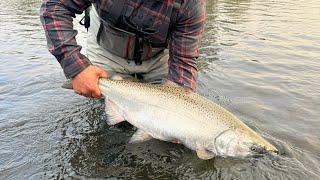 Small River Bobber Fishing For Salmon! (Tips, Tricks, & Secrets!)