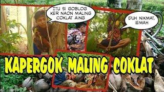 Kapergok Maling Coklat ( Film Pendek ) Lucu Abisss !!!!