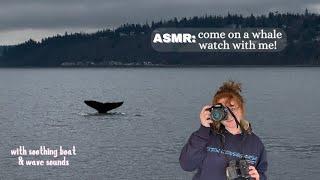 ASMR: Go on a whale watch with me!