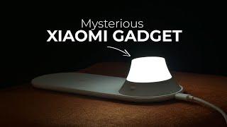 5 Cool Xiaomi Gadgets You Didn't Know About!