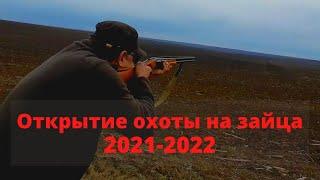 Охота на зайца 2021.Открытие сезона охоты на зайца 2021-2022. Заяц по чернотропу.