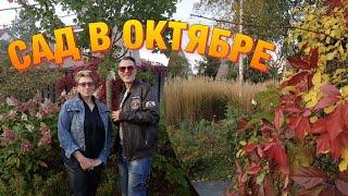 Ландшафтный сад в коттеджном стиле; сад непрерывного цветения