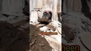 mini skidsteer loader working in low and narrow space