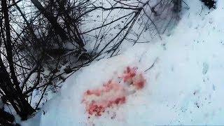 Тропление хитрого подранка - Финал - Охота на зайца / Hare hunting