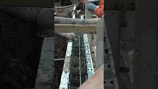 ICF pool construction | Concrete Pouring