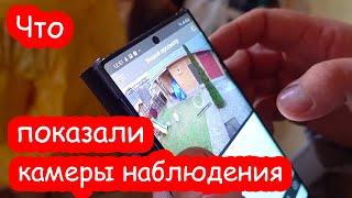 VLOG Батон сбежал