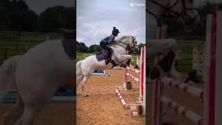 Should I post these slow motions?  #horse #harlow #equestrian #horseriding #harlowandpanda #edit