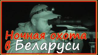 Два козла, два кабана. Удачная ночная охота с подхода в Беларуси.