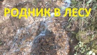 Ural taiga - forest stream