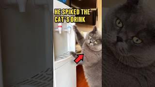 He Added Special Juice to Teach Them a Lesson ️