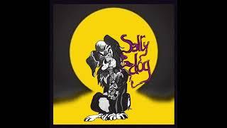 SALTY DOG - 1976 - 9. Doggy Rock