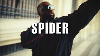 Gims x Dystinct Type Beat "Spider" | Instru Afro Beat 2024