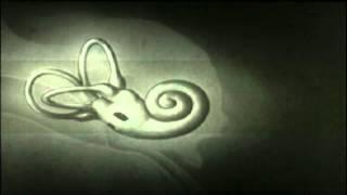 The Hearing Room: Tinnitus II (Aaron Hynds)
