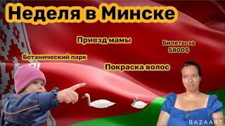 Наш путь из России в Америку. Последняя неделя в Минске