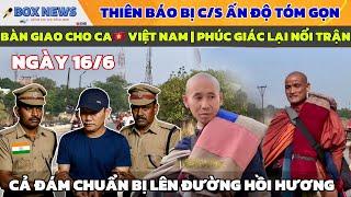 MỚI NHẤT Thiên Báo Bị Tóm Gọn, Phúc Giác Gây Rối, Cả Đoàn Ông Tuệ Chuẩn Bị "Lên Đường Hồi Hương"