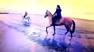 Horseback riding in the Gulf of Finland / Russia in the saddle