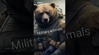 Military animals