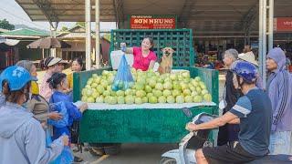 Use Trucks To Buy a Lot Of Melons To Bring To The Country Market To Sell  - Truck Girl | Daily Farm