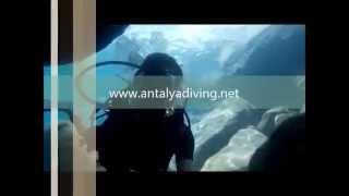 Antalya Dive Tours Diving Tour Price Cost Booking