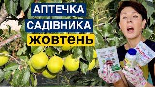 Що повинно бути в садовій аптечці в жовтні