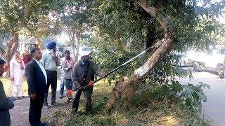 Chandigarh: Replantation of trees uprooted to make way for The Tribune flyover project begins