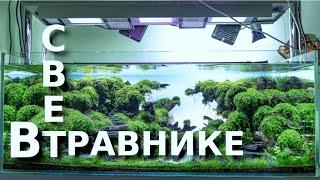 Свет в крутом аквариуме травнике + рекомендации