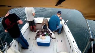 A&A Fishing Charters: Walleye fishing on Lake Erie!