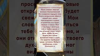 #молитва #таро #молитвабогуозащите