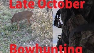 2014 PreRut Deer Bow Hunting - October Bowhunting - Hoyt doe buck