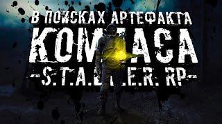 В ПОИСКАХ АРТЕФАКТА КОМПАСА ● STALKER ONLINE RP ● СТРИМ DAYZ STALKER RP WAR ZONE