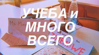 УЧЕБА и МНОГО ВСЕГО