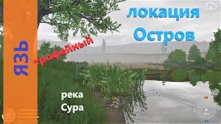 Русская рыбалка 4 - река Сура - Язь трофейный под дубом