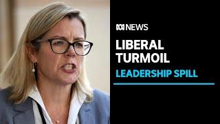 WA Liberal leadership turmoil as party's only two Lower House MPs battle for top job | ABC News