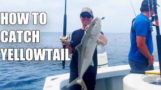 How To Catch Yellowtail Fishing Catalina Island The Tackle And Tips You Need!