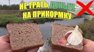 ОПУСТИЛ ХЛЕБ С ЧЕСНОКОМ ПОД ВОДУ. Подводная съёмка. Реакция рыбы.