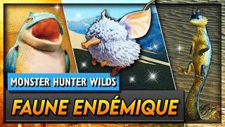 GUIDE de la FAUNE ENDÉMIQUE - Quêtes et ÉTOILE DES SABLES | Monster Hunter Wilds