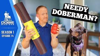 Fix CLINGY Dobermans FAST With These | Dobie Masters (S1E14)