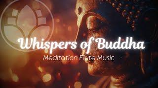 Silent Echo 》Buddha's Flute Meditation Music 》Healing Flute Music