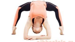 Гимнастика для позвоночника. Прогибы / Gymnastics for the spine