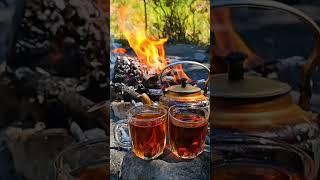 Campfire Tea Vibes | #Outdoors #NatureLovers #relax #TeaLovers  #CampfireTea