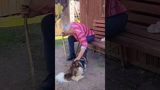 Эту Песню Без Слёз Слушать Невозможно!! #деревня #песня#старость