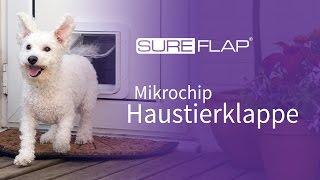 Erste Schritte mit der mikrochipgesteuerten SureFlap Haustierklappe