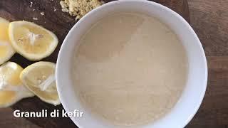 Preparare il Kefir d’acqua