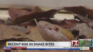 Recent rise in snake bites in North Carolina